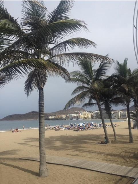 Las Canteras Beach 大加那利岛拉斯帕尔马斯 外观 照片