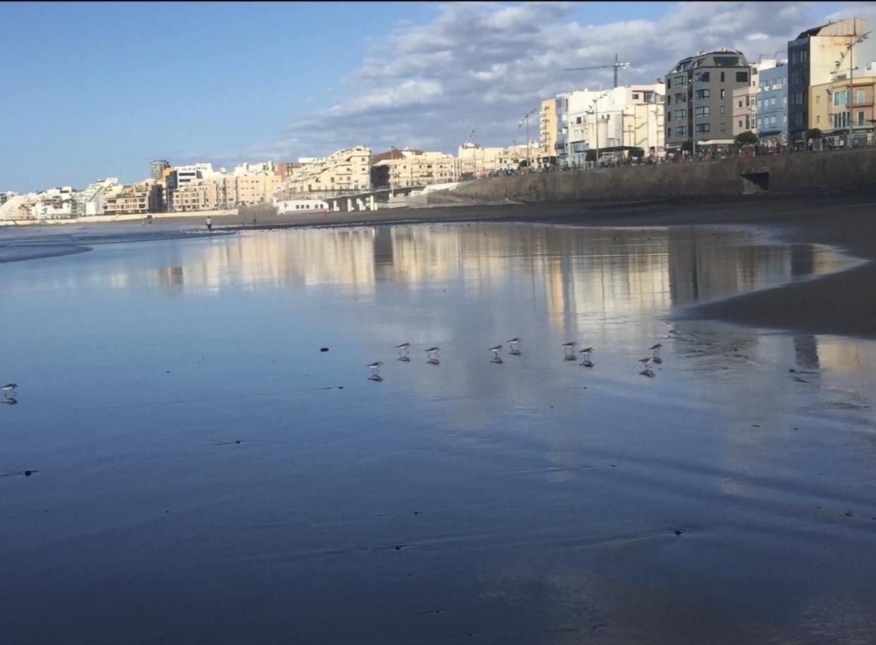 Las Canteras Beach 大加那利岛拉斯帕尔马斯 外观 照片
