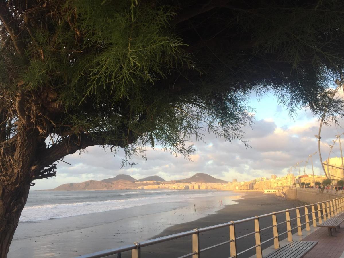 Las Canteras Beach 大加那利岛拉斯帕尔马斯 外观 照片